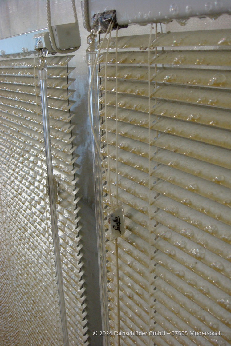 Jalousien-innen-1 (1).png