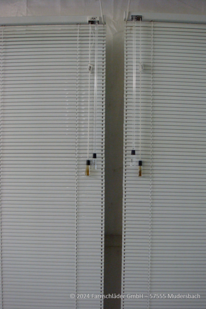 Jalousien-innen-3 (1).png